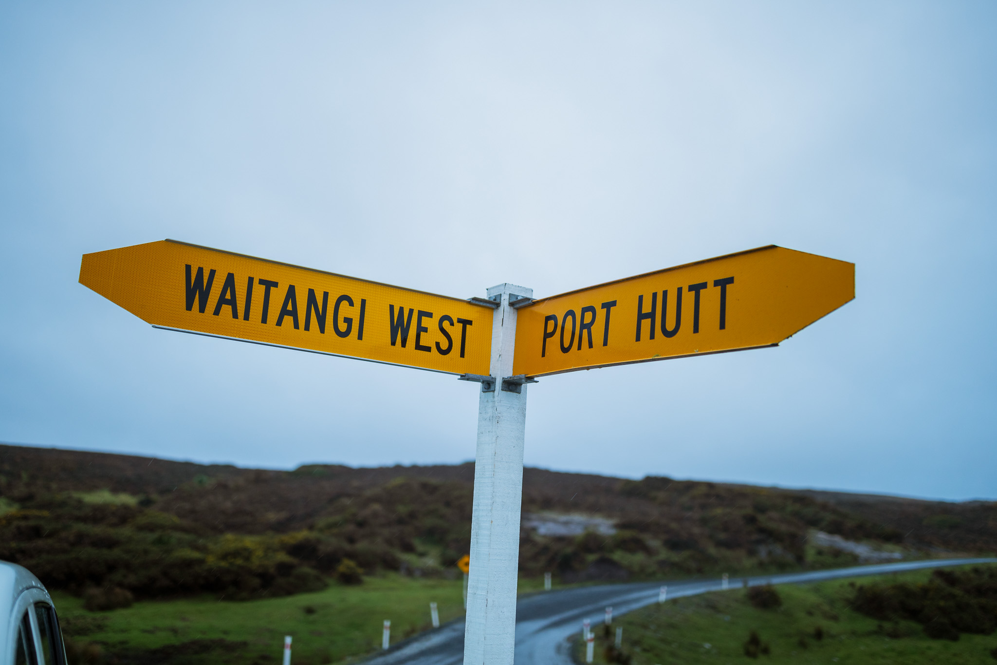 Chatham Islands Visit